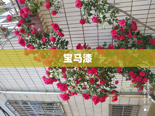 宝马漆
