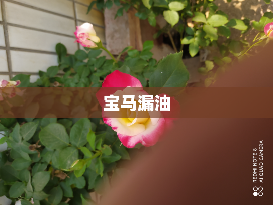 宝马漏油
