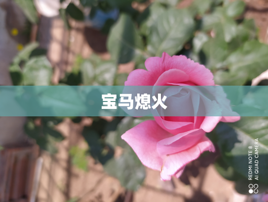 宝马熄火