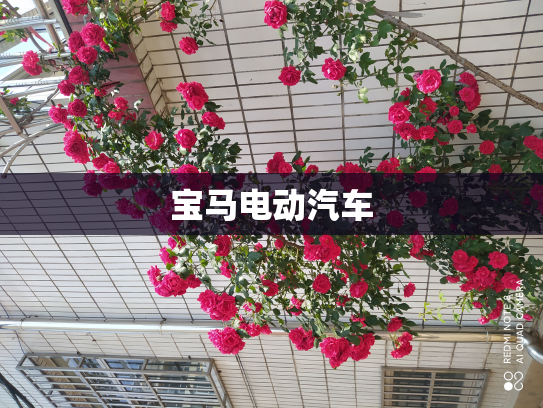 宝马电动汽车