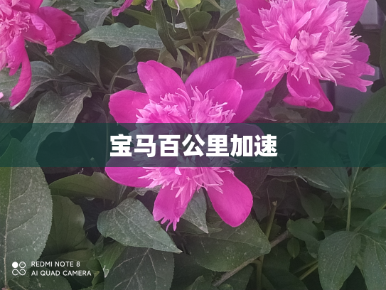 宝马百公里加速