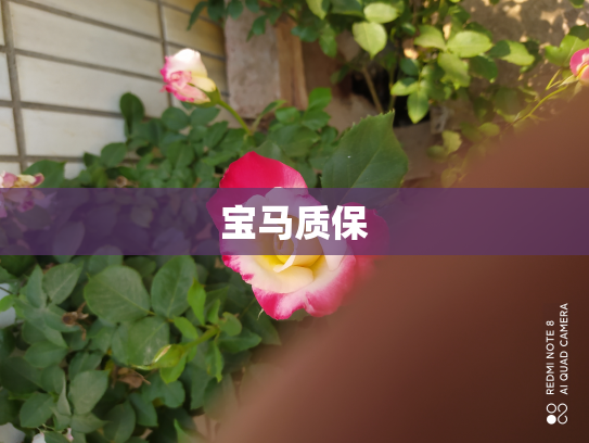 宝马质保