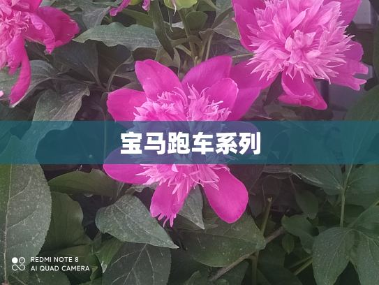 宝马跑车系列