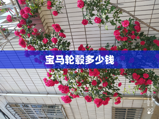 宝马轮毂多少钱