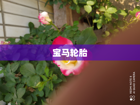 宝马轮胎