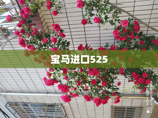 宝马进口525