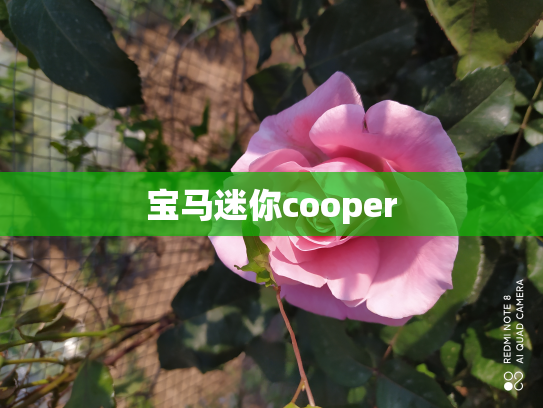 宝马迷你cooper