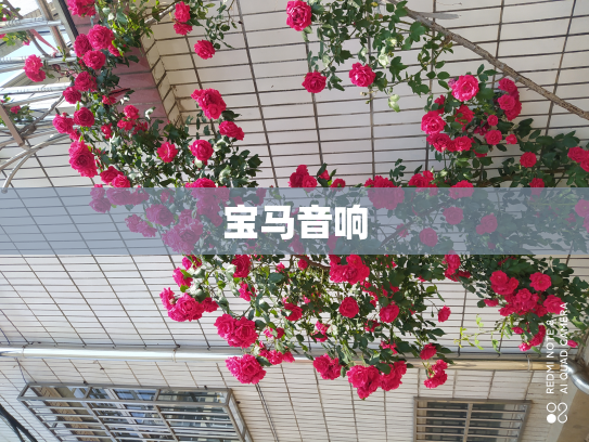宝马音响