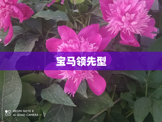 宝马领先型