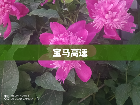 宝马高速