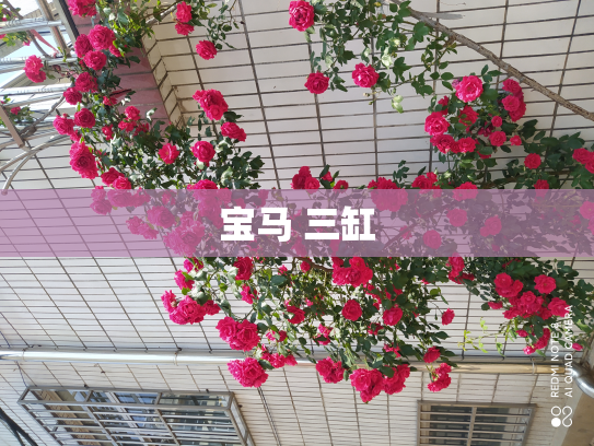 宝马 三缸