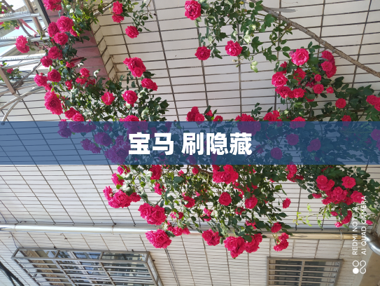 宝马 刷隐藏