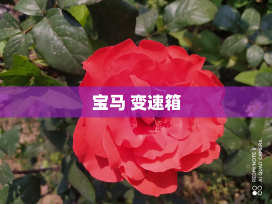 宝马 变速箱