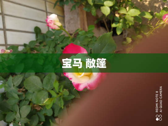 宝马 敞篷