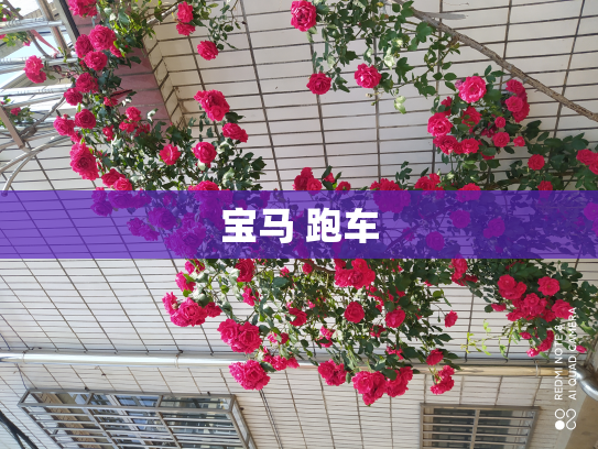 宝马 跑车