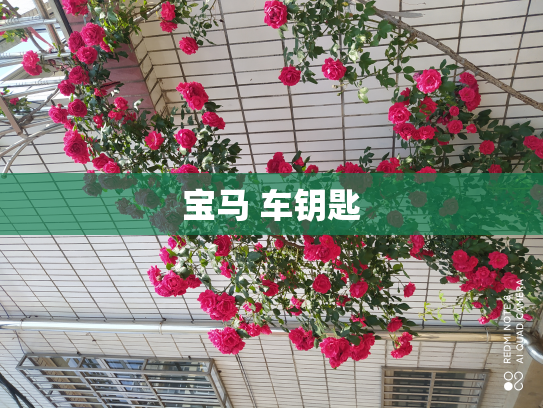 宝马 车钥匙