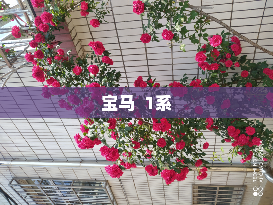 宝马  1系