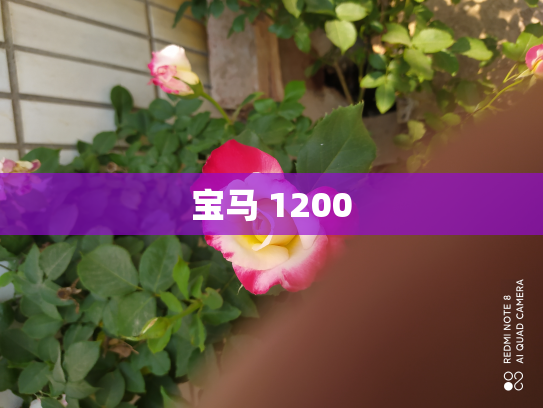 宝马 1200