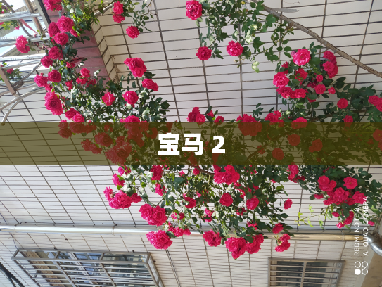 宝马 2