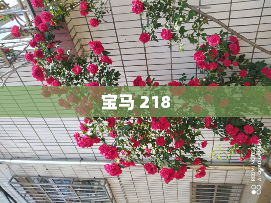 宝马 218