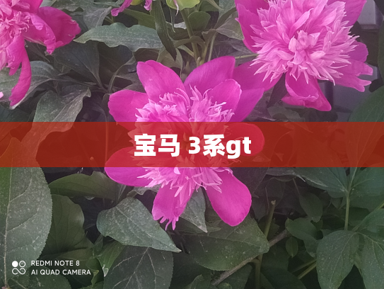 宝马 3系gt