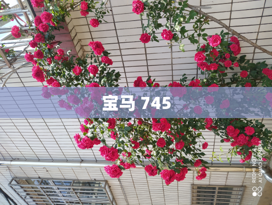 宝马 745