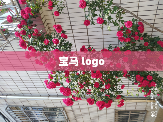 宝马 logo