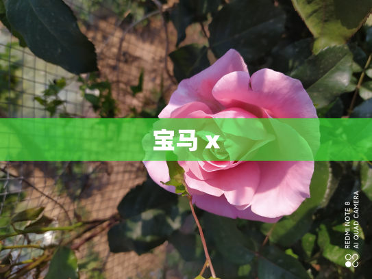 宝马 x