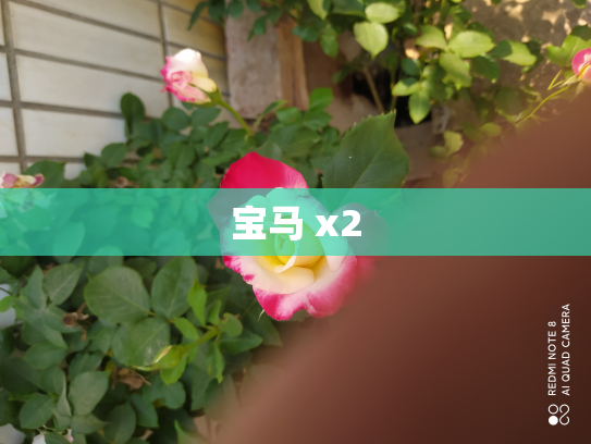 宝马 x2