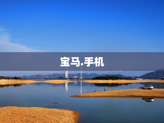 宝马.手机