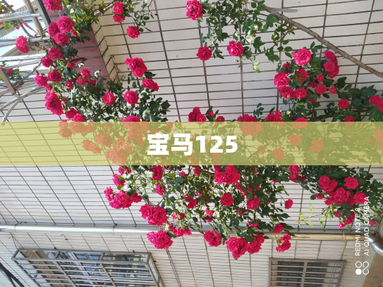宝马125