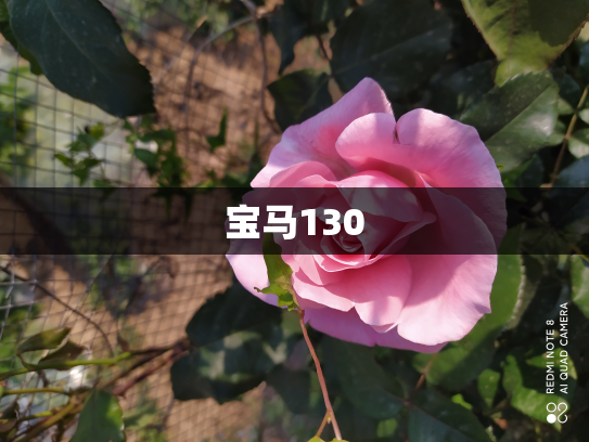 宝马130