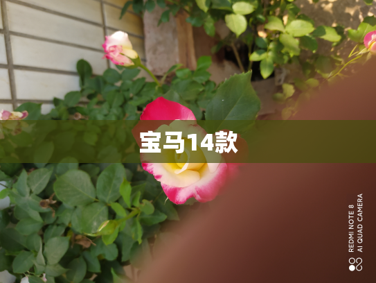 宝马14款