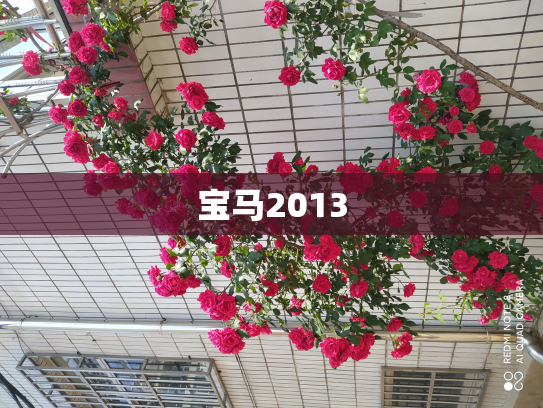 宝马2013