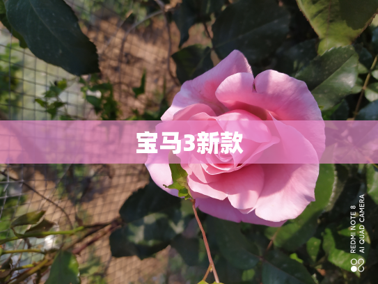 宝马3新款