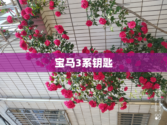 宝马3系钥匙