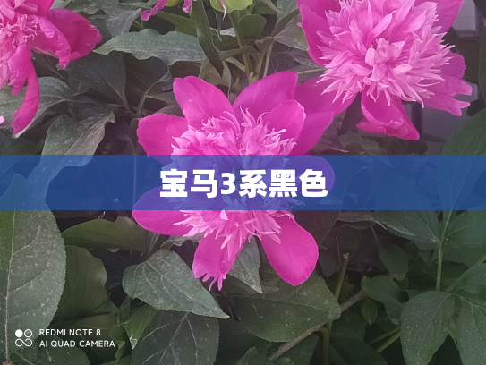 宝马3系黑色