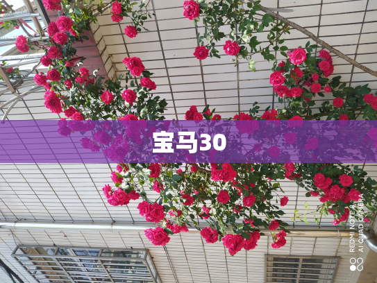宝马30