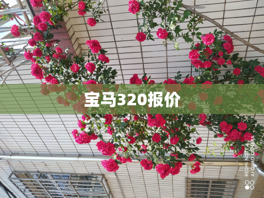 宝马320报价