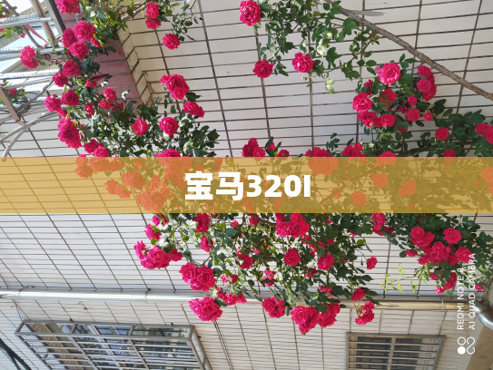 宝马320I
