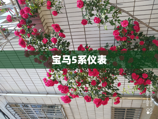 宝马5系仪表
