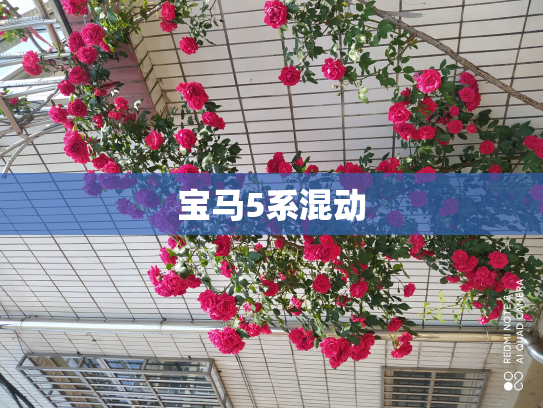 宝马5系混动