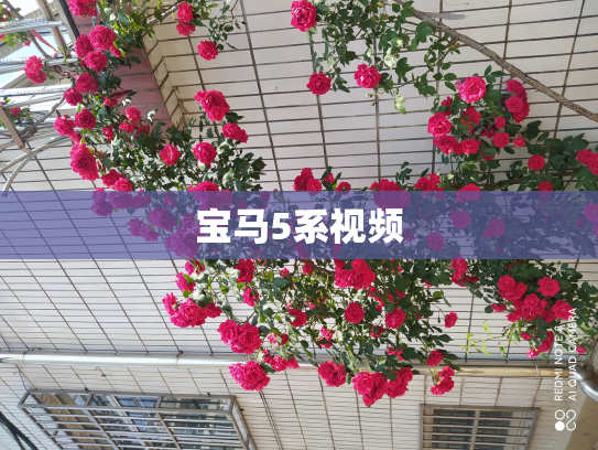 宝马5系视频