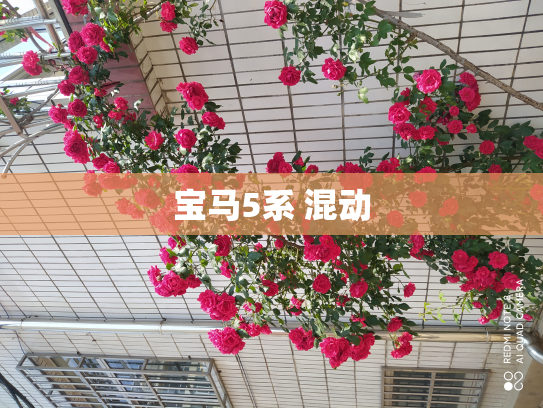宝马5系 混动