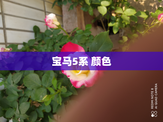 宝马5系 颜色