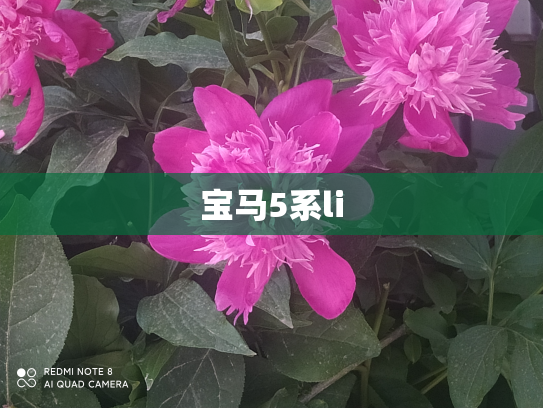 宝马5系li