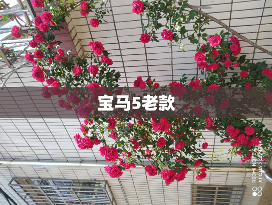 宝马5老款