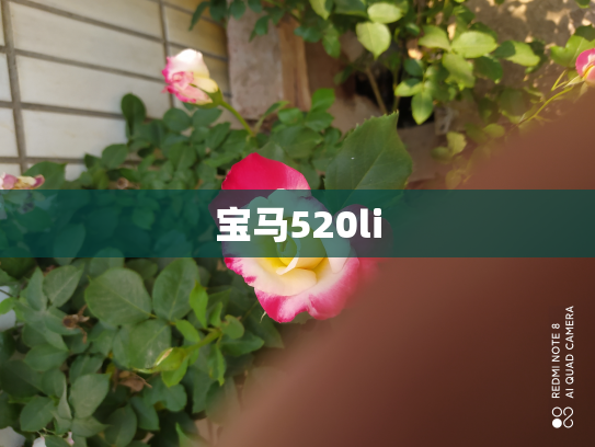 宝马520li