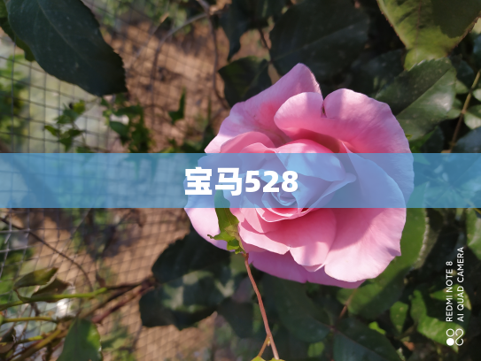 宝马528