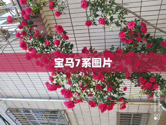 宝马7系图片